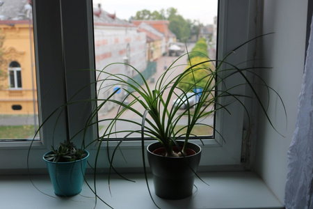 Apartment F6, Osijek, Croatia