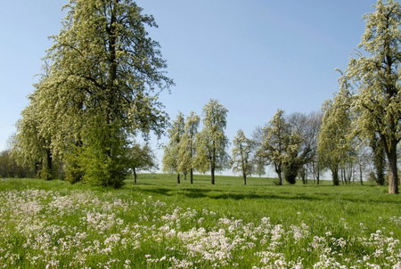 Vakantiewoningen-Pizzeria Blanckthys Voeren, Voeren, Belgium