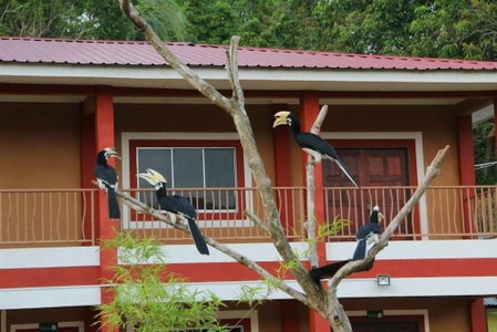Purnama Beach Resort, Pangkor Island, Malaysia