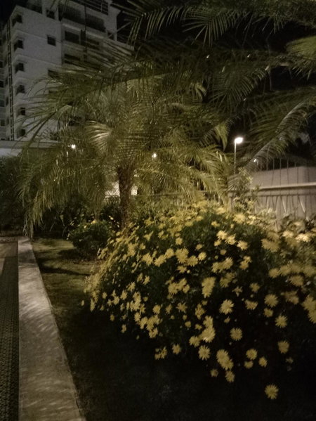 Icolor Home & Stay Ch5, Tanah Rata, Malaysia