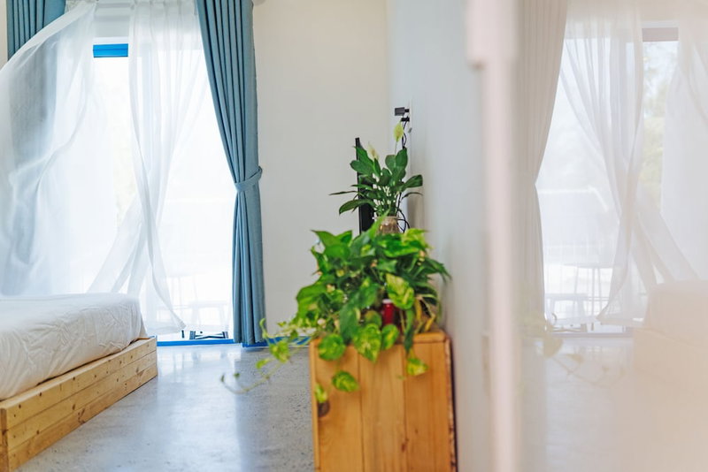 Santori Homestay Hoi An - Hostel, Hoi An, Vietnam