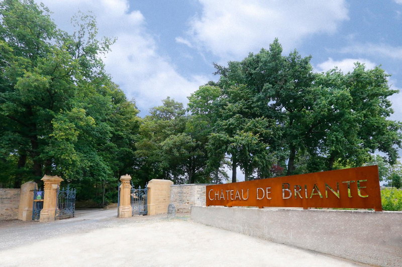 Château de Briante, Saint-Lager, France