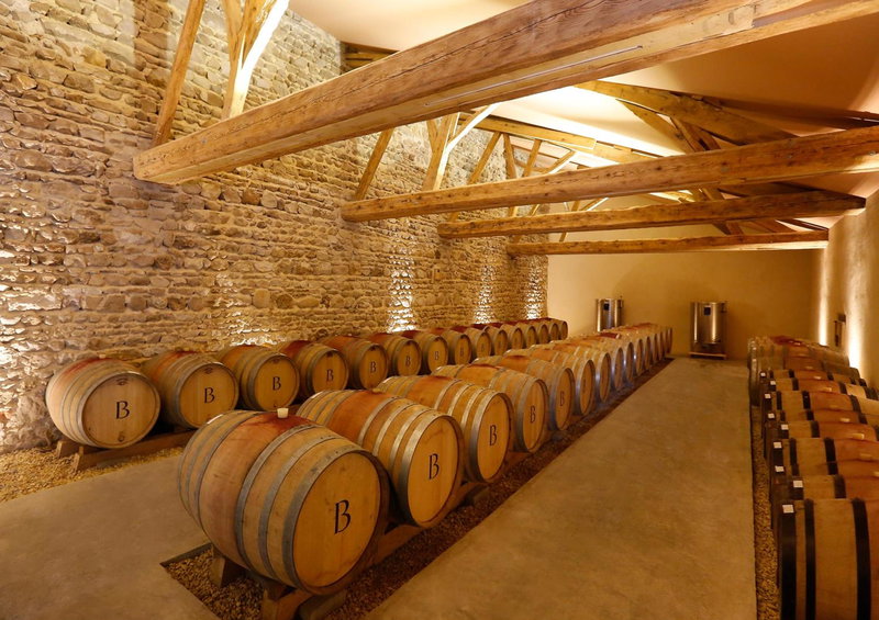 Château de Briante, Saint-Lager, France