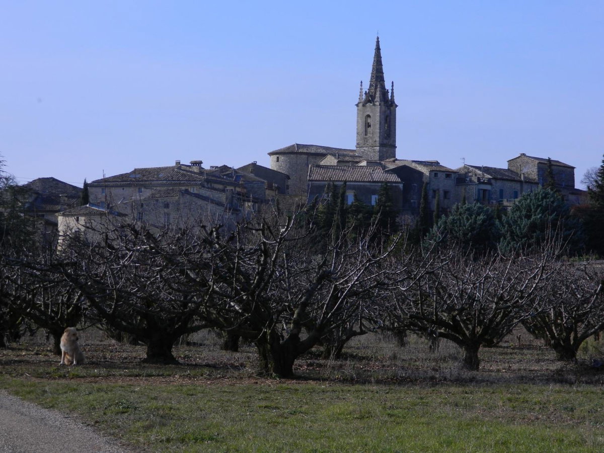 Hotel · Maison de Dame Tartine, Issirac