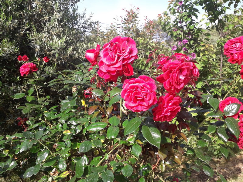 La Villa Provencale, Lorgues, France