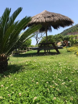 Agriturismo del Sole, Anacapri, Italy