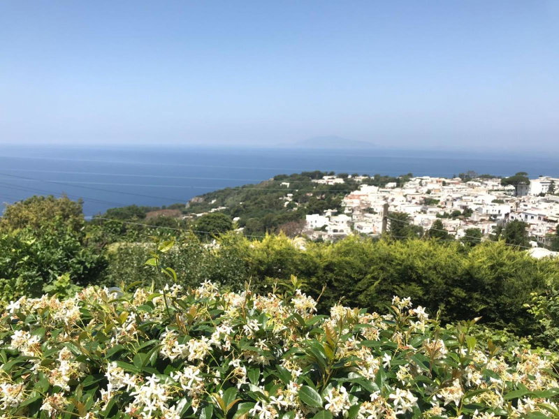 Agriturismo del Sole, Anacapri, Italy