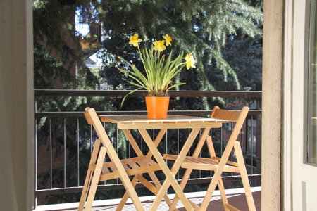 Lotus B&B, Milan, Italy