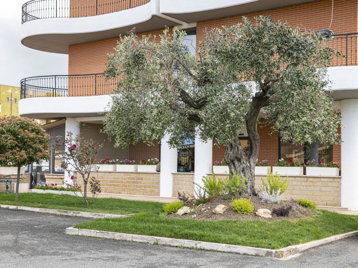 B&B HOTEL Pomezia Cortese, Italy