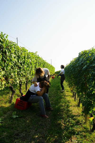 Agriturismo Il Gioco Dell'Oca, Barolo, Italy