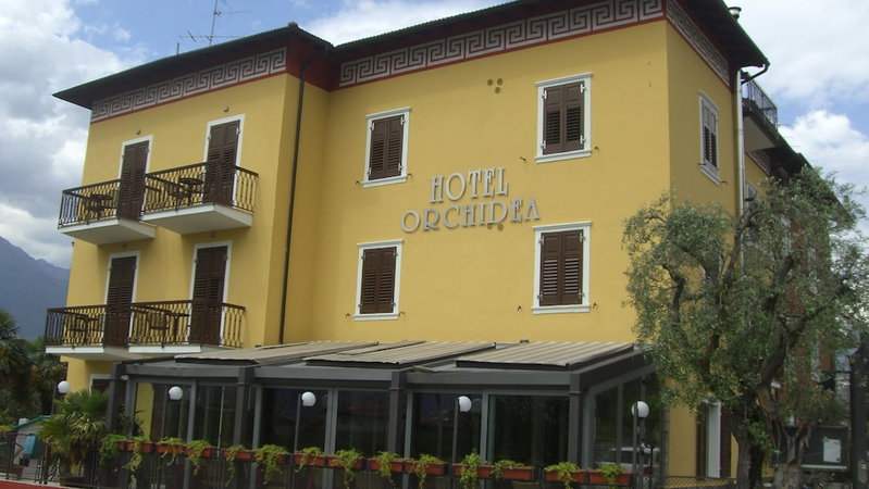 Orchidea, Riva del Garda, Italy