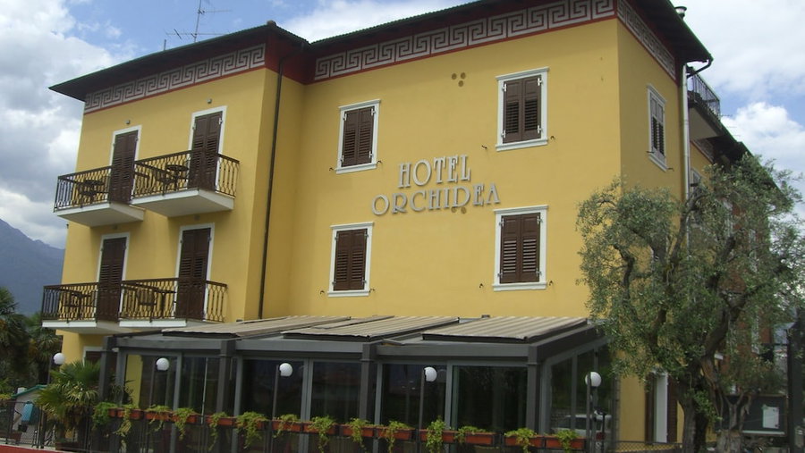 Orchidea, Riva del Garda, Italy
