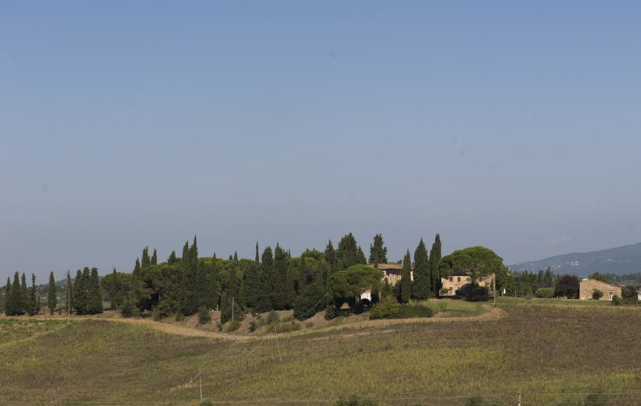 Il Poggio B&B, Ginestra, Italy
