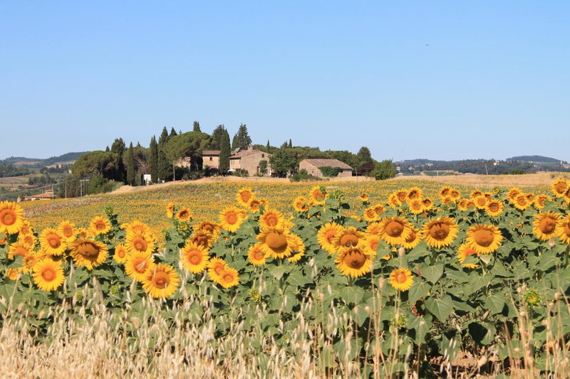 Il Poggio B&B, Ginestra, Italy