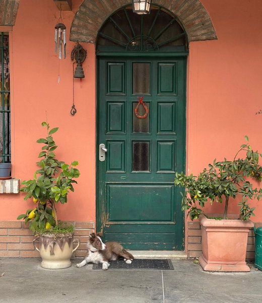 B&B La Cascina di Alice, Castiglione delle Stiviere, Italy