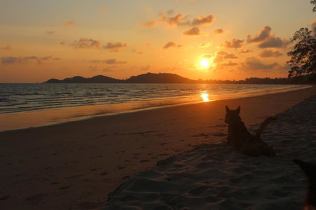 Baanboonpetch Resort, Ban Phlong Takhe, Thailand