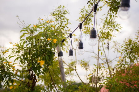 Ozone by บ้านเขาค้อ, Phetchabun, Thailand