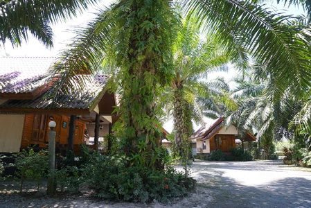 Nampueng Resort, Chumphon, Thailand