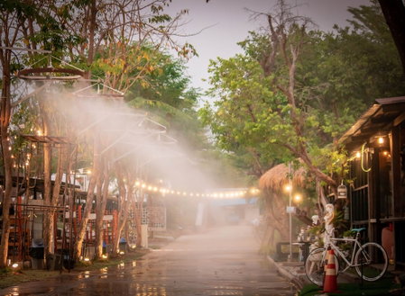 Rai Bumrungphol, Mae Wang, Thailand