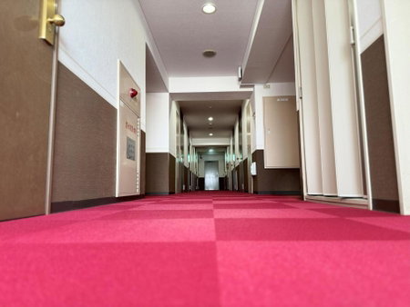 Hotel Alpha Inn Akita, Akita, Japan