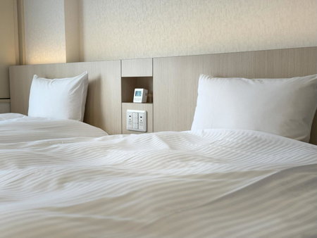 Hotel Alpha Inn Akita, Akita, Japan