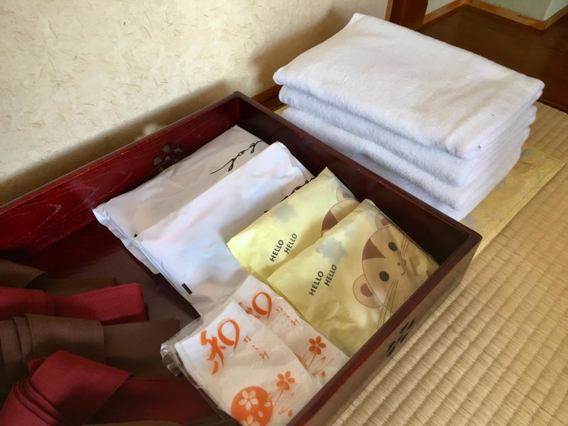 Hotel Yagi, Awara, Japan