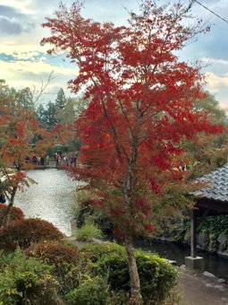 天ゆふ(Ten Yufu), Yufu, Japan