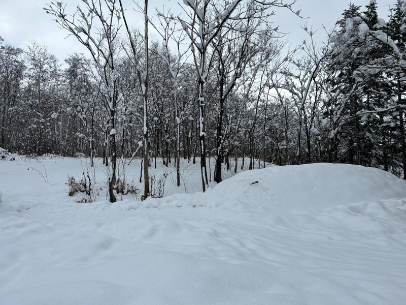 niseko kamahale village - Vacation STAY 85808v, Kaributo, Japan