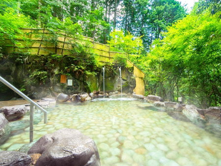 Ooedo Onsen Monogatari Miyoshiya, Shinonsen, Japan