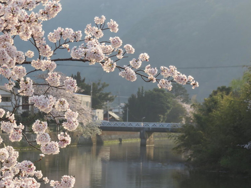 御宿しんしま, Matsuzaki, Japan