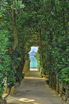 villa PILINA, Sesoko, Japan