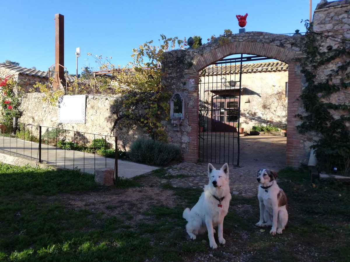 Hotel · Mas Del Llop Blanc - Dog friendly Hostal Rural - B&B, Sobrestany