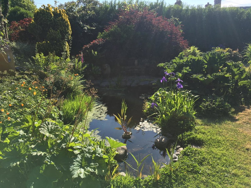 Slerra Hill Bed and Breakfast, Clovelly, Bideford, United Kingdom