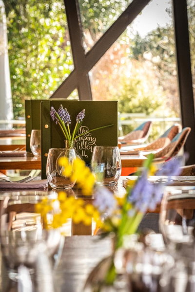 The Weeping Willow, Bury Saint Edmunds, United Kingdom