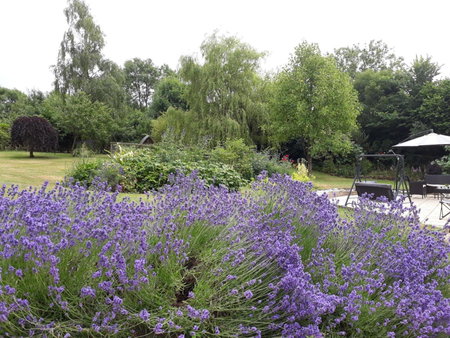Stoneleigh Barn Bed and Breakfast, Sherborne, United Kingdom