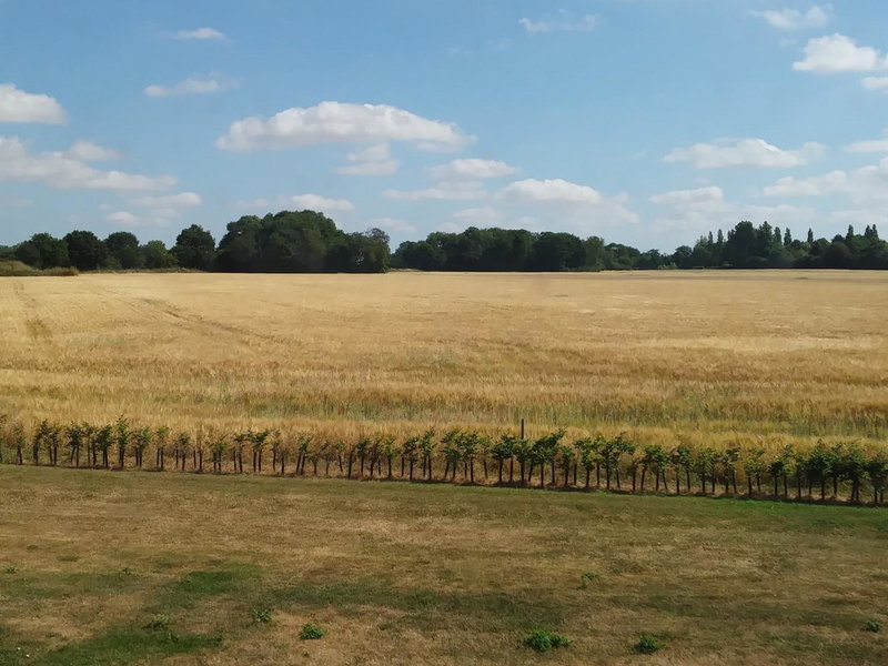 Fieldview Farmhouse Bed and Breakfast, Colkirk, United Kingdom