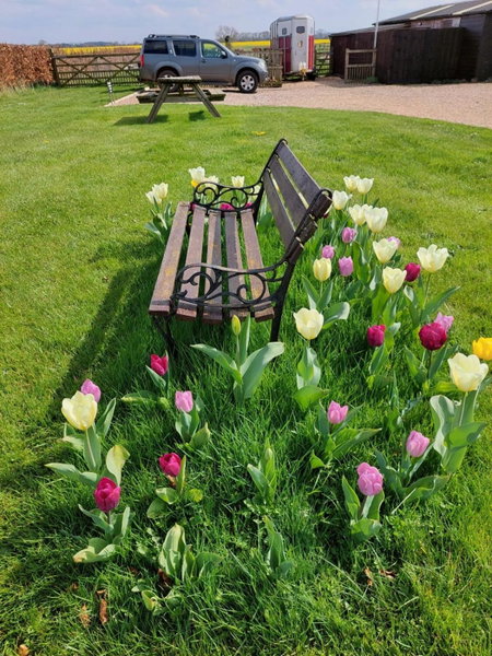 Fieldview Farmhouse Bed and Breakfast, Colkirk, United Kingdom