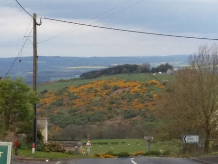 Anchor Inn, Consett, United Kingdom