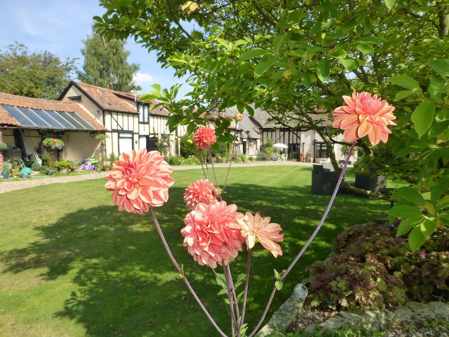 Greyhound Cottage, Sudbury, United Kingdom