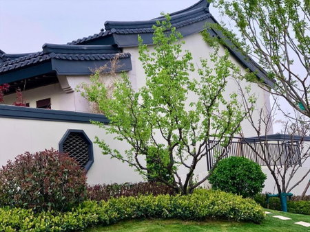 Steigenberger Hotel SUNAC Jinan, Jinan, China