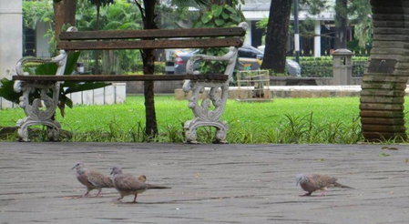 Hotel Cikini Jakarta, Jakarta, Indonesia