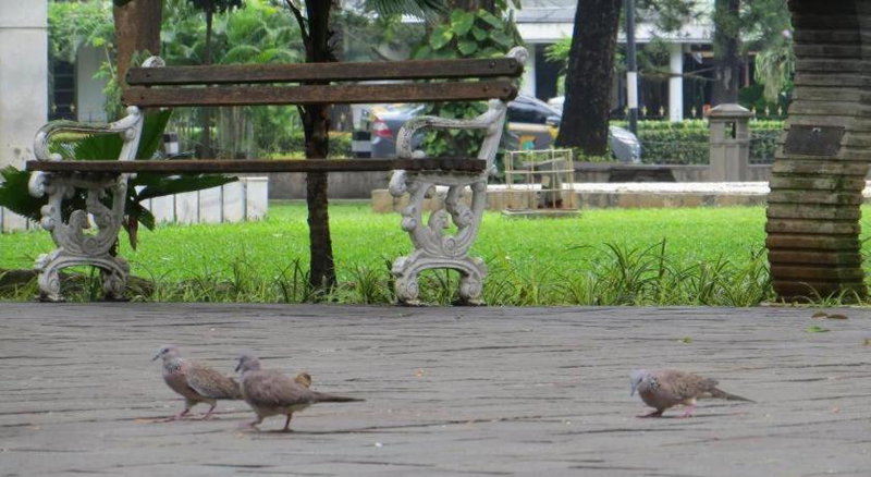 Hotel Cikini Jakarta, Jakarta, Indonesia