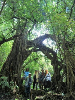 Sang Giri Mountain Tent Resort, Penebel, Indonesia