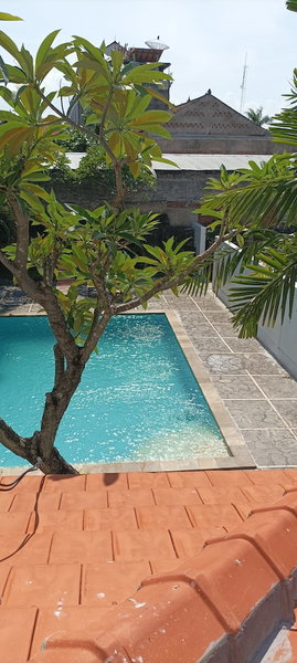 Hotel My New Lovina, Buleleng, Indonesia