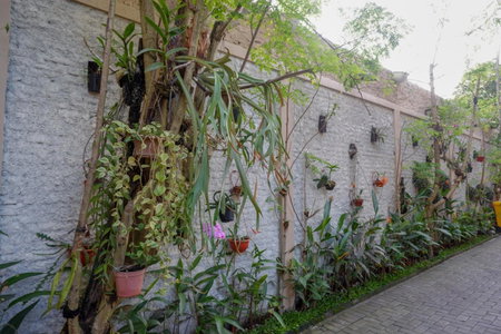 RedDoorz Syariah at Omah Sawah, Balong, Indonesia
