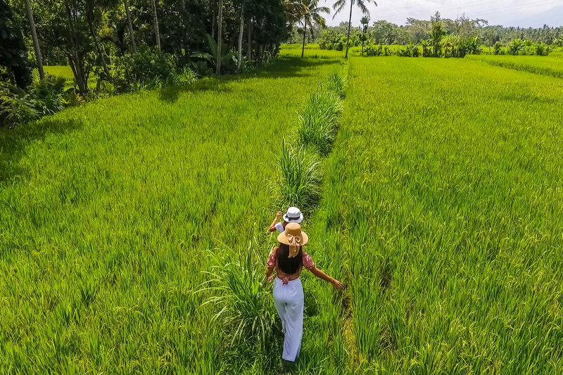 Puri Lumbung Village, Payangan, Indonesia