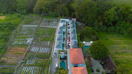 Dikubu Bali Villa and Suites Seminyak, Kerobokan, Indonesia