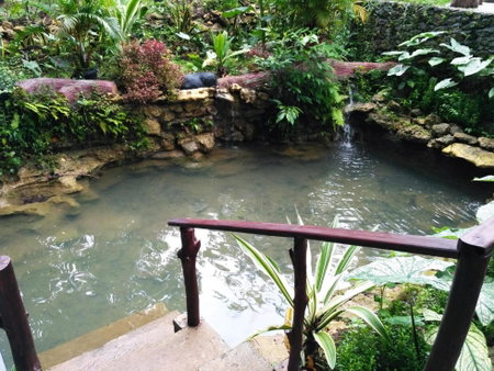Hau Riverside Lodges Citumang, Pangandaran, Indonesia