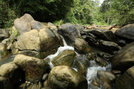 Ayursakthi Riverdale, Munnar, India