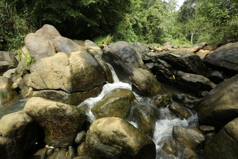 Ayursakthi Riverdale, Munnar, India